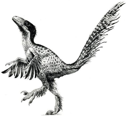 dinosaur with feathers