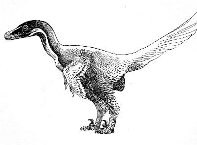 velociraptor with feathers